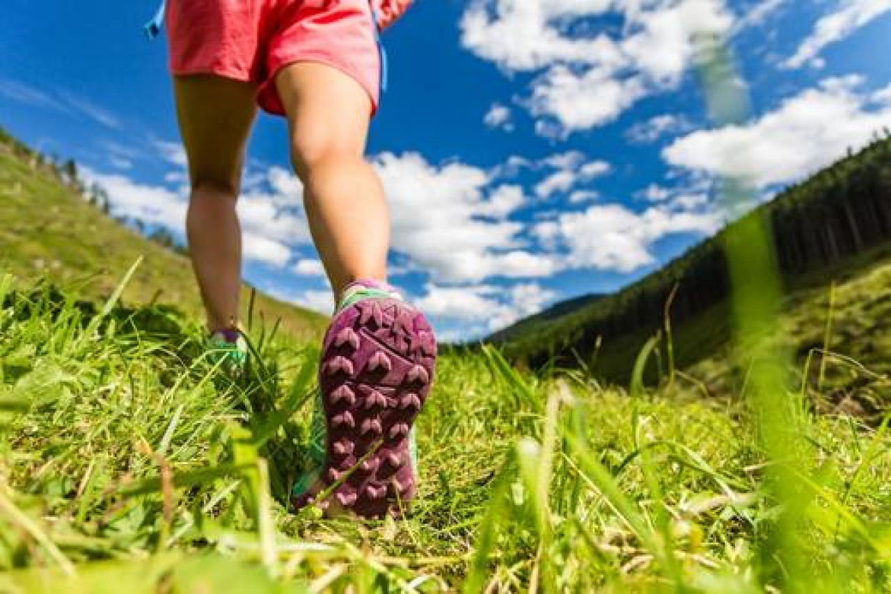 What Should We Pay Attention To While Walking?