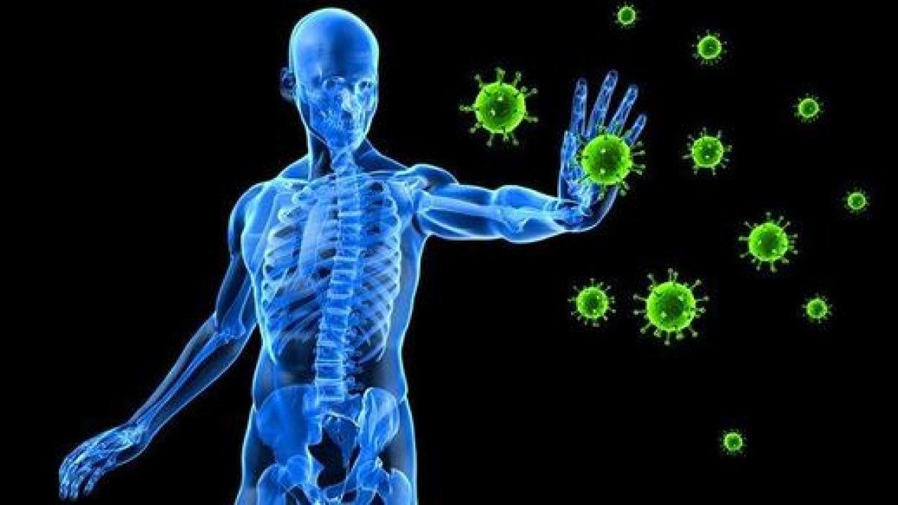 What is the Immune System? What are the Strengthening Ways?