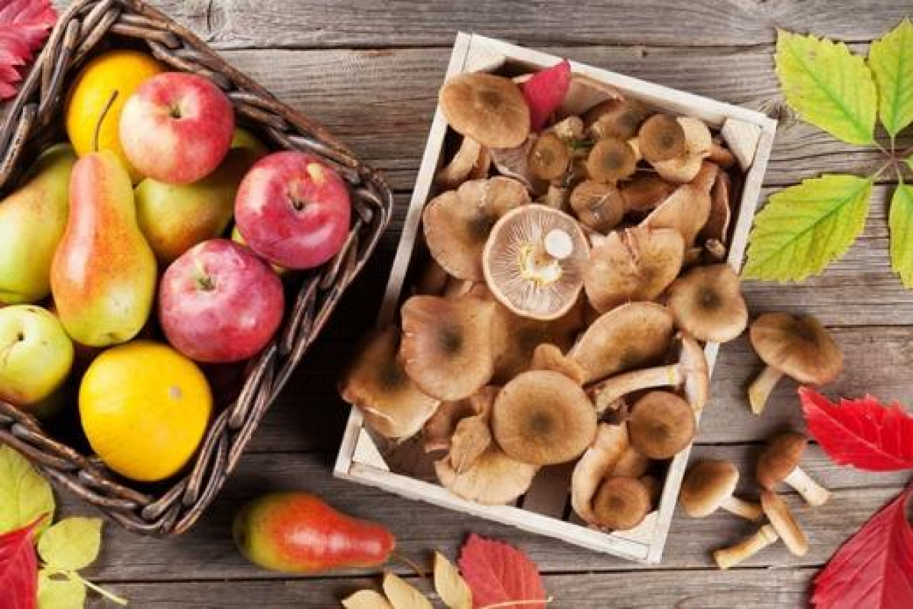 How Should We Eat in Autumn?